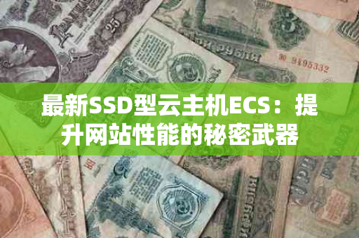最新SSD型云主机ECS：提升网站性能的秘密武器