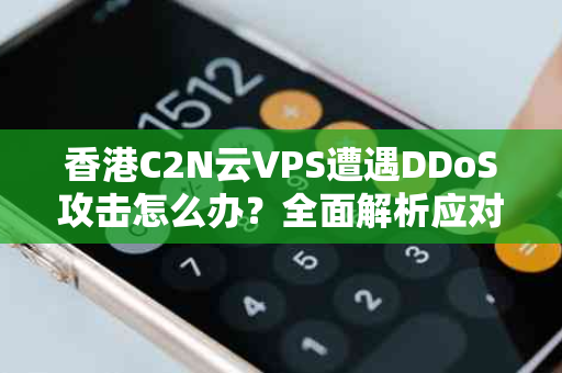 香港C2N云VPS遭遇DDoS攻击怎么办？全面解析应对策略