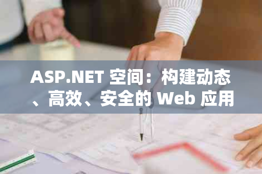 ASP.NET 空间：构建动态、高效、安全的 Web 应用程序