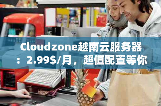 Cloudzone越南云服务器：2.99$/月，超值配置等你来体验