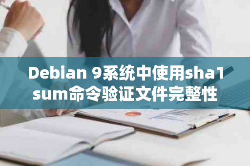 Debian 9系统中使用sha1sum命令验证文件完整性