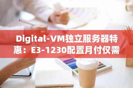 Digital-VM独立服务器特惠：E3-1230配置月付仅需$80，日本新加坡机房任选，畅享G口带宽
