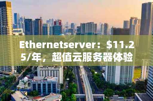 Ethernetserver：$11.25/年，超值云服务器体验