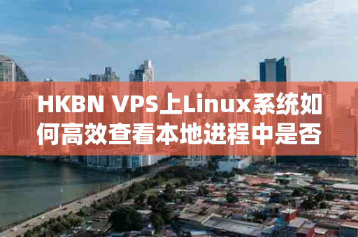 HKBN VPS上Linux系统如何高效查看本地进程中是否包含FTP进程