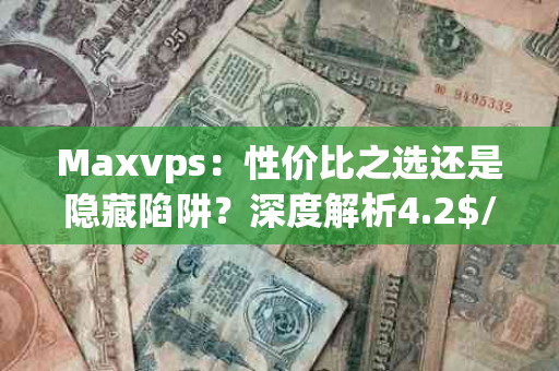 Maxvps：性价比之选还是隐藏陷阱？深度解析4.2$/月的越南VNPT VPS
