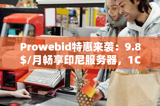 Prowebid特惠来袭：9.8$/月畅享印尼服务器，1C1G20G硬盘+400GB流量起，助力SEO优化新篇章