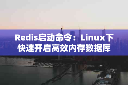 Redis启动命令：Linux下快速开启高效内存数据库
