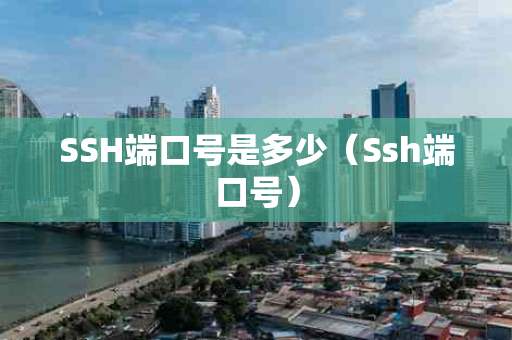 SSH端口号是多少（Ssh端口号）