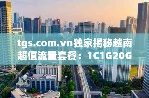 tgs.com.vn独家揭秘越南超值流量套餐：1C1G20GB不**，仅需7.4$/月，畅游网络无拘束！