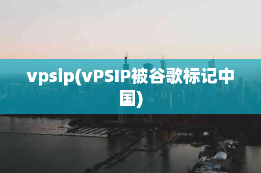 vpsip(vPSIP被谷歌标记中国)