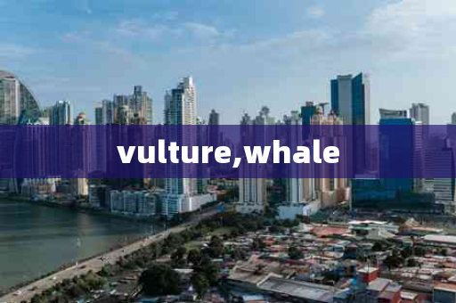 vulture,whale