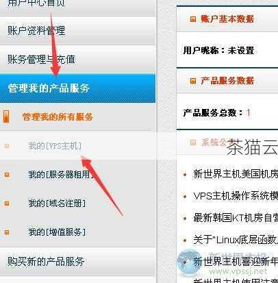 探索VPS主机，你的在线世界私人领地