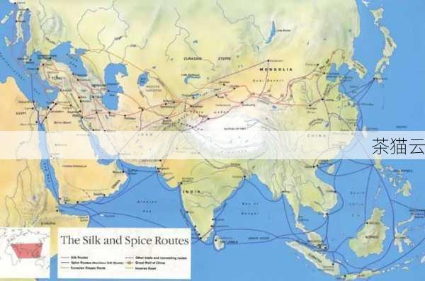 探索荷兰VPS，为何成为数字世界的优选之地？