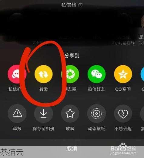 抖音转发到日常怎么变小了？揭秘背后的原因