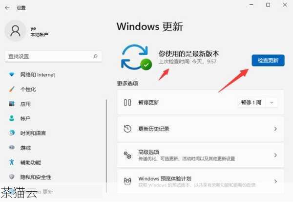 如何在Windows 11系统中配置双显示器？