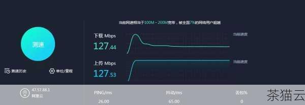 揭秘！当前网络中哪些服务器正承受巨大流量压力