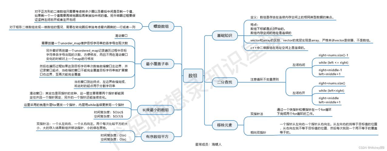 数组的基本概念