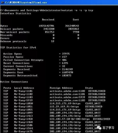 这里的选项与netstat命令中的相同，-tuln分别代表TCP、UDP、仅显示监听状态和直接显示IP地址及端口号。