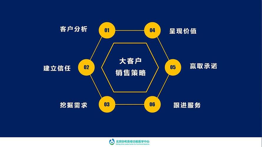 客户服务：提供24/7的客户支持，解决用户问题。