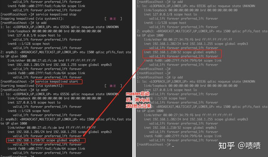 执行后，系统会返回Nginx的二进制文件、源代码和手册页的位置，Nginx的可执行文件（即Nginx主程序）位于/usr/**in/nginx或/usr/local/**in/nginx等目录下，这可以间接帮助你找到Nginx的安装目录，但请注意，whereis命令可能不会直接显示Nginx的配置文件或日志文件的目录。