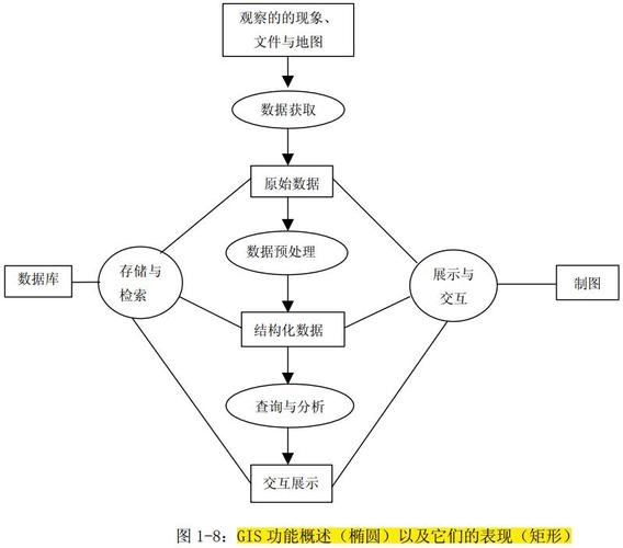 定义与功能