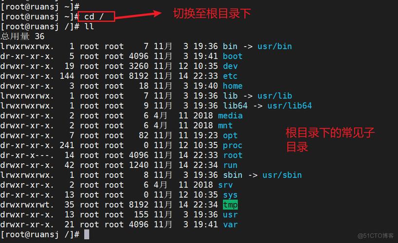 通过今天的探讨，相信大家对网站子目录和Linux子目录有了更深入的理解，无论是构建网站，还是深入探索Linux系统，掌握这些基础知识都将为你打开更广阔的数字世界之门。