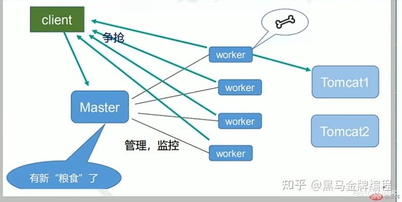 如果你不确定Nginx进程的PID，或者想要一次性杀死所有名为nginx的进程，可以使用pkill或killall命令：