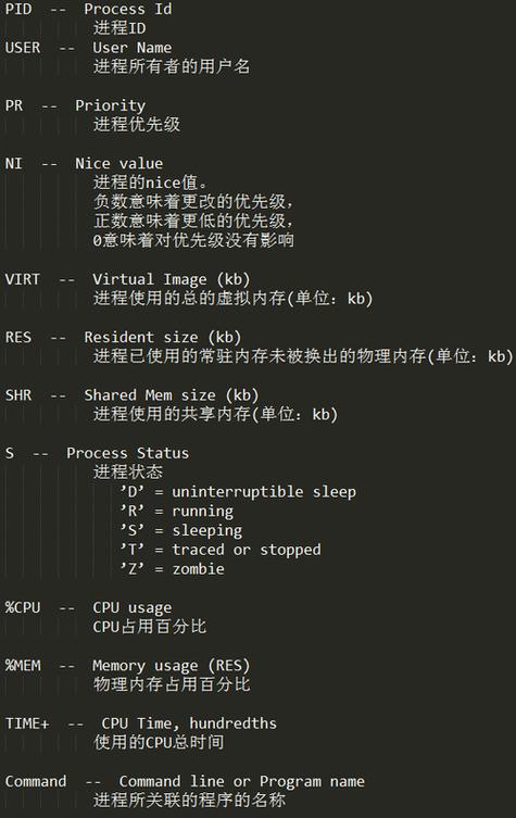 Debian查看版本命令相关问题解答