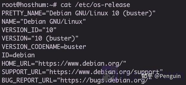 如果/etc/debian_version文件不存在，这通常意味着你的系统可能不是Debian，或者该文件被意外删除，你可以尝试使用l**_release -a命令来查看系统版本信息，如果l**_release命令也不可用，可能需要检查你的系统是否真的是Debian，或者考虑从其他渠道（如系统安装介质或系统文档）获取版本信息。