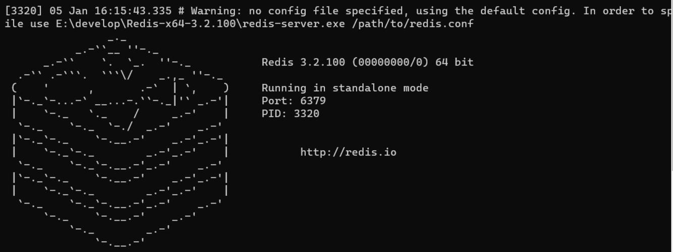    ./redis-server