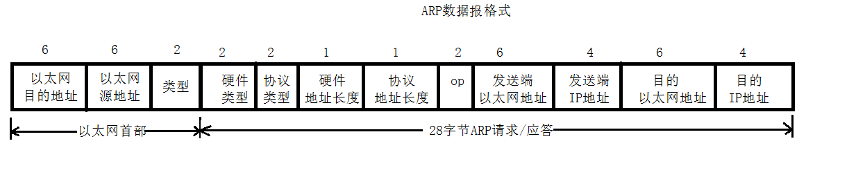  3.面向数据报（Datagram-Oriented）