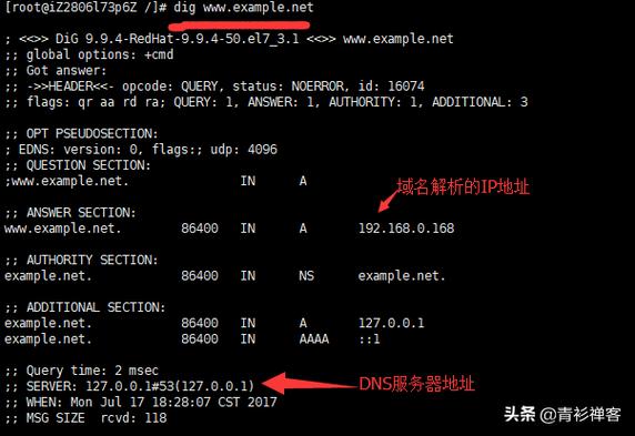 Cloudflare DNS（IP：1.1.1.1 和 1.0.0.1）以其“世界上最快的DNS系统”而闻名，Cloudflare不仅提供快速的DNS解析服务，还具备强大的抗攻击能力和隐私保护功能，它从不记录用户的IP地址，也不出售用户数据或使用客户信息来投放广告，Cloudflare DNS在加密网络流量的帮助下，防止任何人窥探用户的搜索历史和互联网活动，为用户提供一个安全、快速的上网环境，对于游戏玩家来说，Cloudflare DNS是一个极佳的选择，能够显著提升游戏体验和响应速度。