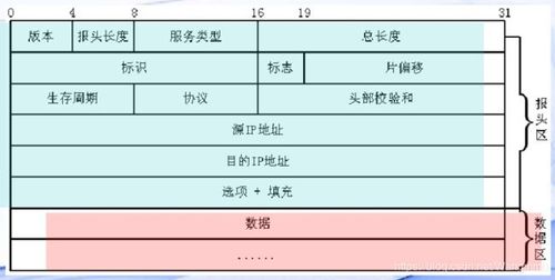    - 使用“-l”参数可以指定发送的数据包大小（默认为32字节，最大可设置为65500字节），这有助于测试网络在不同数据包大小下的性能表现。