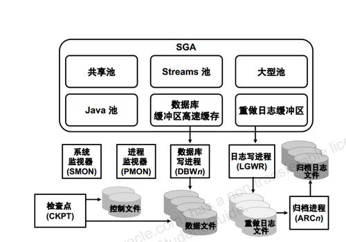 在数据库管理领域，Oracle数据库无疑是业界的佼佼者，随着技术的不断进步，从Oracle 11g升级到19c成为了许多企业和组织提升系统性能、增强安全性的必然选择，本文将带您深入了解Oracle 11g到19c的升级过程，探讨这一技术飞跃背后的意义与挑战。