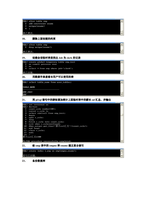 Oracle 19c相比11g，在性能、安全性、可管理性等方面都有了显著提升，19c引入了多租户架构（Multitenant Environment），允许在同一个数据库实例中运行多个独立的数据库，极大地提高了资源利用率和灵活性，19c还增强了数据泵（Data Pump）的性能，使得数据迁移和备份恢复更加高效，新版本的Oracle数据库还加强了数据加密和访问控制，为企业的数据安全提供了更坚实的保障。