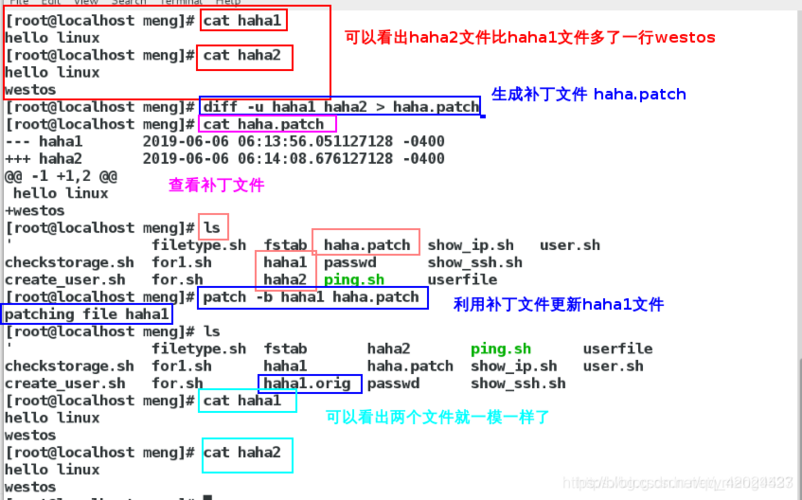 在Shell脚本中，for循环也是批量创建目录的一种常用方法，可以结合seq命令生成一系列数字，然后用for循环逐个创建目录。