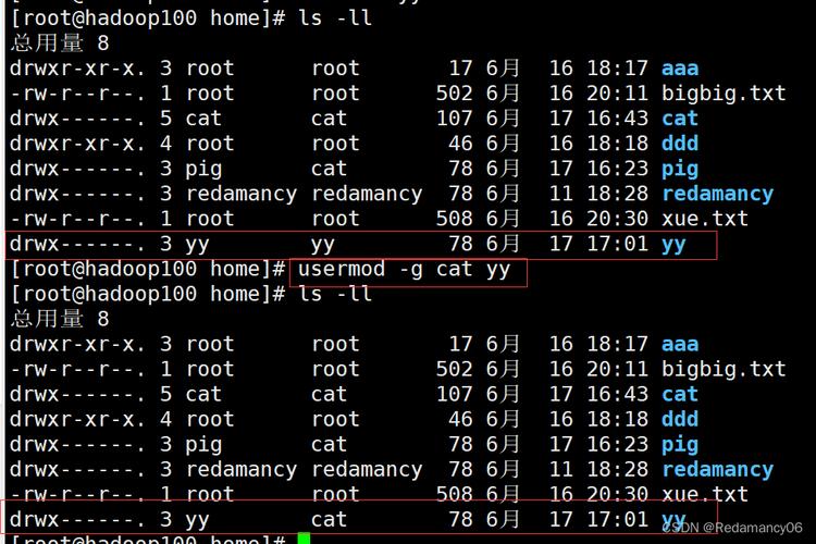 date命令是Linux中最基本的日期和时间管理工具之一，它不仅可以显示当前的日期和时间，还可以用来设置新的系统时间。