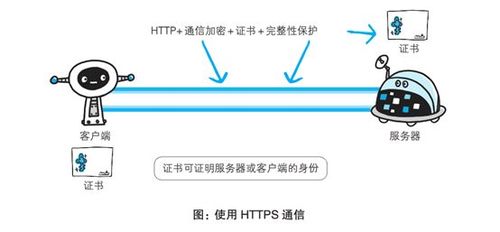 HTTP和HTTPS还使用不同的端口号进行通信，HTTP通常使用80端口，这是互联网上的标准端口，用于未加密的HTTP通信，而HTTPS则使用443端口，这是专门为加密通信预留的端口，这种约定有助于网络设备和软件区分不同类型的通信，从而采取相应的安全措施。