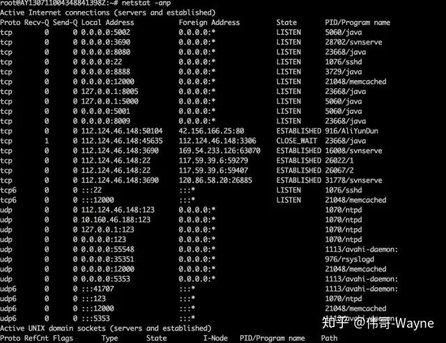 which命令则专门用于查找并显示给定命令的完整路径，通常用于查找可执行文件的路径。