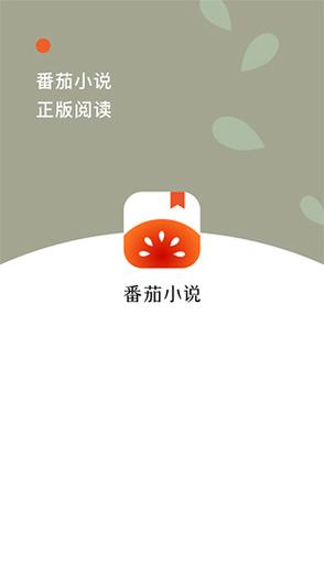 不同于传统的手机APP，番茄小说网页版无需下载安装，只需打开浏览器，输入正确的网址，即可轻松访问，这一特性使得它成为了众多上班族、学生族以及移动设备存储空间有限的用户的首选，无论是在家中、办公室，还是旅途中，只要有网络连接，你就能随时随地沉浸在书海中，享受阅读的乐趣。