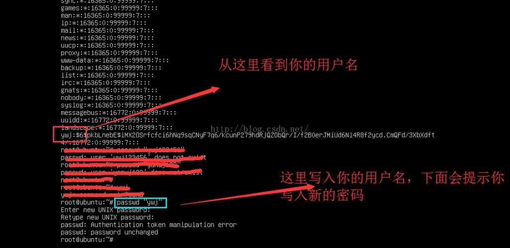 A: 在Ubuntu中，可以使用passwd命令为用户设置或更改密码，对于新创建的用户，通常会在创建用户后立即使用passwd命令设置密码。sudo passwd newuser 会提示您输入并确认新用户的密码。