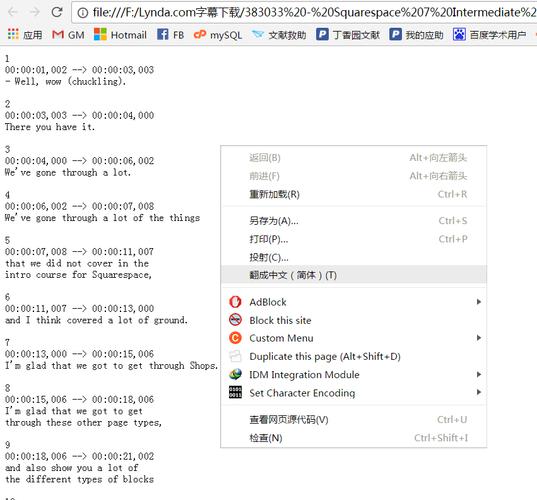 SRT文件的基本定义