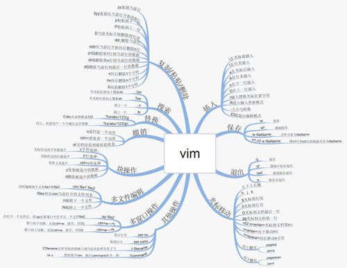 一键清理全部内容的Vim命令