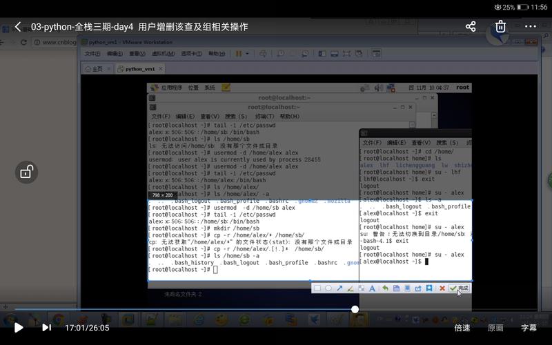 在Linux系统中，尤其是当我们使用CentOS这样的服务器操作系统时，经常需要管理大量的文件和文件夹，了解每个文件夹占用的磁盘空间大小对于优化存储、清理不必要的文件以及监控磁盘使用情况至关重要，幸运的是，CentOS提供了多种命令来帮助我们快速查看文件夹的大小，下面，我将介绍几个常用的命令及其使用方法，让你轻松掌握这一技能。