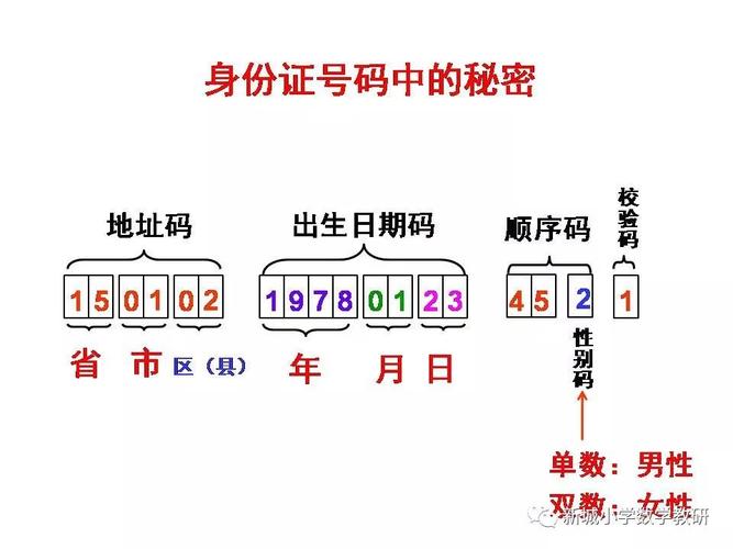 设置编码的重要性