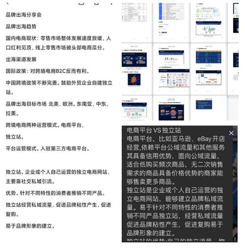 3、支付与物流集成：Shopline与全球多家知名支付机构和物流公司建立合作，为商家提供多样化的支付方式和高效的物流解决方案，无论是信用卡支付、第三方支付平台，还是国际快递、海外仓发货，都能轻松实现一键对接。