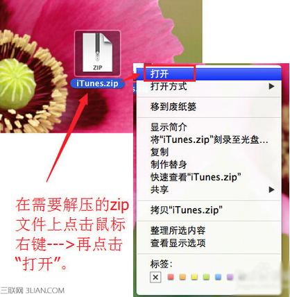 1、解压下载的文件：将下载的udp2raw_windows+mac.zip压缩包解压到一个你容易找到的文件夹中，例如D盘的根目录。