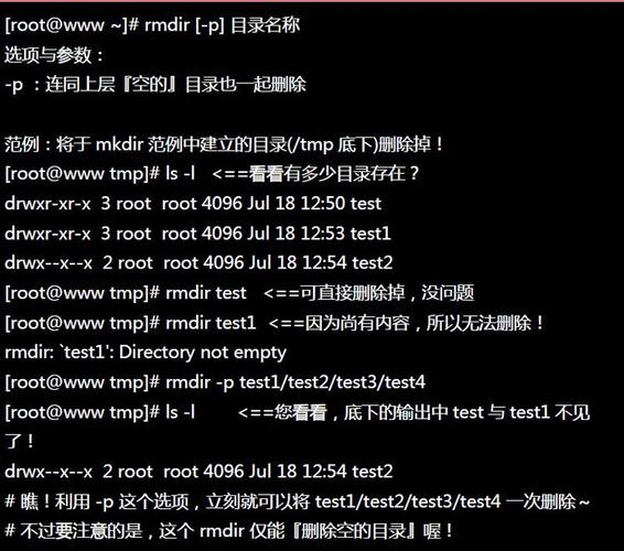 执行上述命令后，你将看到类似以下的输出（输出内容会根据你的系统配置和磁盘情况有所不同）：