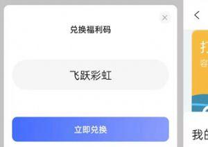 4、输入福利码并兑换：将你从官方渠道获取的福利码输入到输入框中，然后点击“立即兑换”按钮，如果福利码有效，系统会立即为你发放相应的奖励。