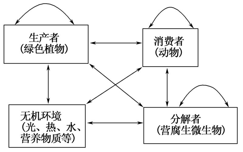 4. 丰富的生态系统与社区支持